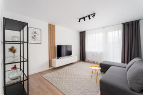 Olsza Stylish Apartment